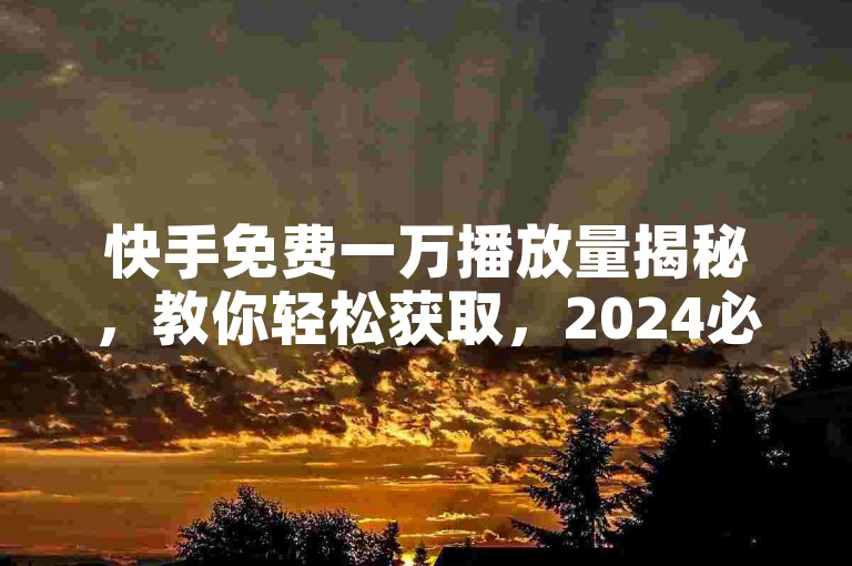 快手免费一万播放量揭秘，教你轻松获取，2024必学。