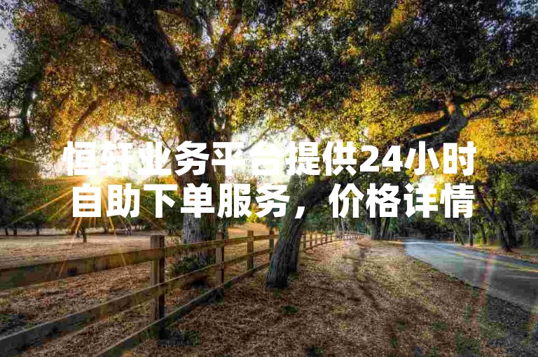 恒轩业务平台提供24小时自助下单服务，价格详情请咨询。
