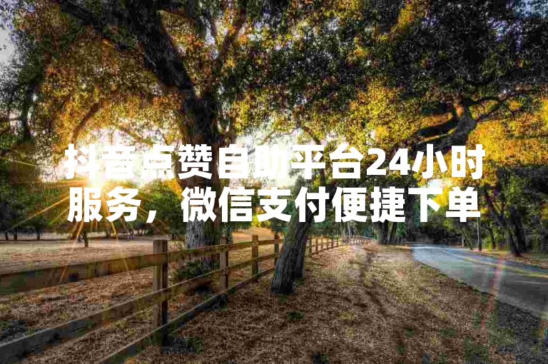 抖音点赞自助平台24小时服务，微信支付便捷下单。