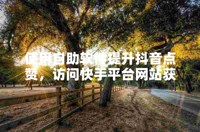 使用自助软件提升抖音点赞，访问快手平台网站获取服务。