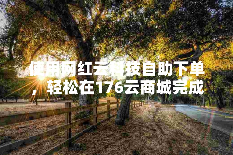 使用网红云科技自助下单，轻松在176云商城完成购物。