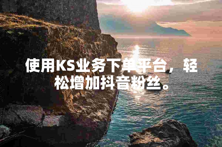 使用KS业务下单平台，轻松增加抖音粉丝。