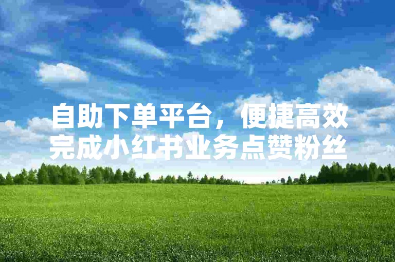 自助下单平台，便捷高效完成小红书业务点赞粉丝操作。