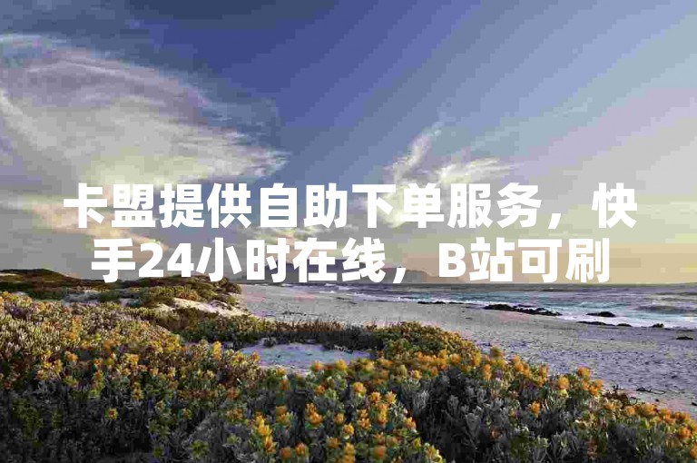 卡盟提供自助下单服务，快手24小时在线，B站可刷观看次数。