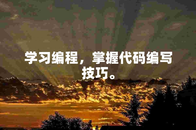 学习编程，掌握代码编写技巧。