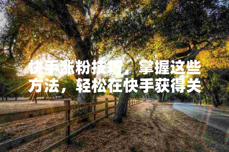 快手涨粉技巧，掌握这些方法，轻松在快手获得关注。