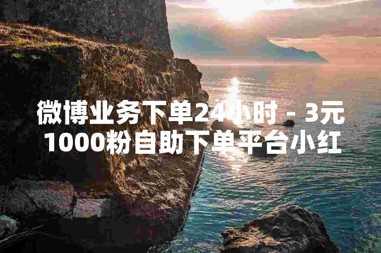 微博业务下单24小时 - 3元1000粉自助下单平台小红书