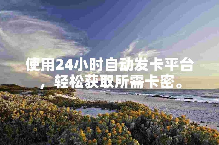 使用24小时自动发卡平台，轻松获取所需卡密。