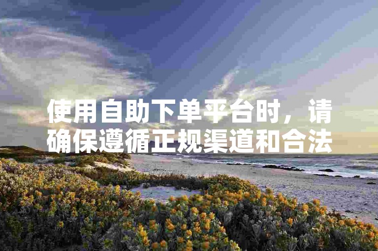 使用自助下单平台时，请确保遵循正规渠道和合法操作。