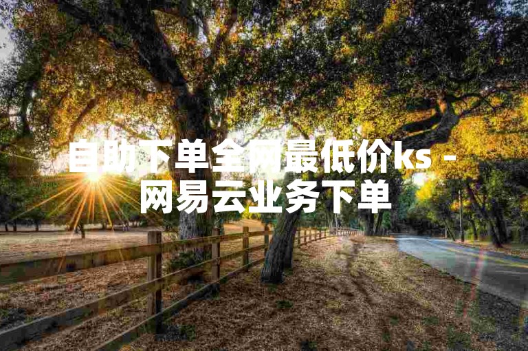 自助下单全网最低价ks - 网易云业务下单