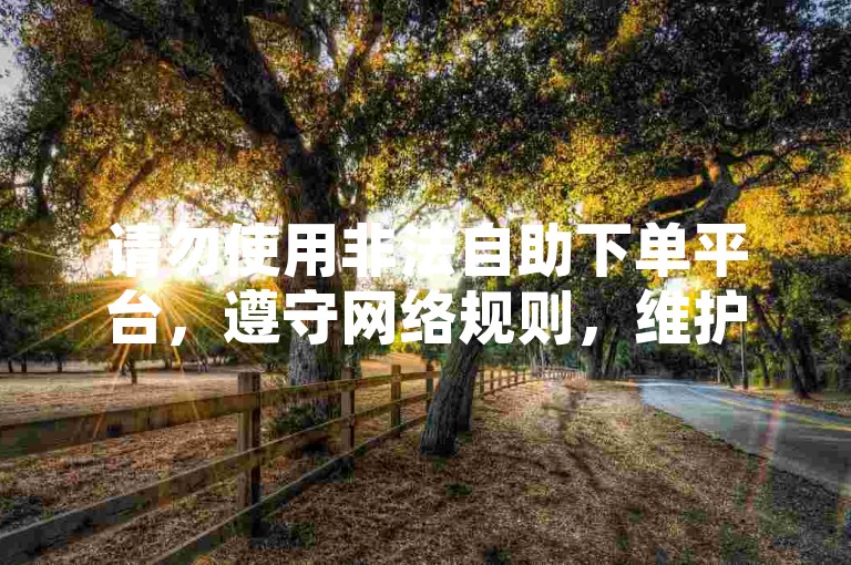 请勿使用非法自助下单平台，遵守网络规则，维护良好秩序。