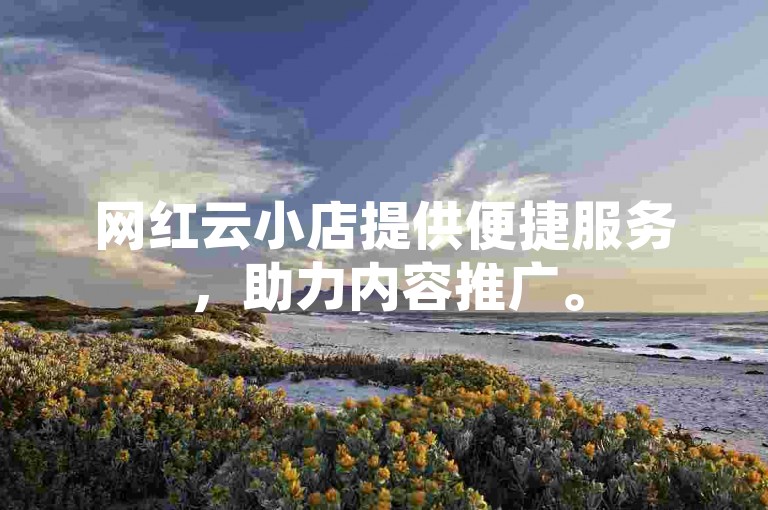 网红云小店提供便捷服务，助力内容推广。
