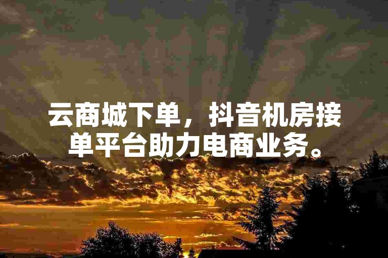 云商城下单，抖音机房接单平台助力电商业务。