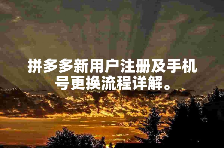拼多多新用户注册及手机号更换流程详解。