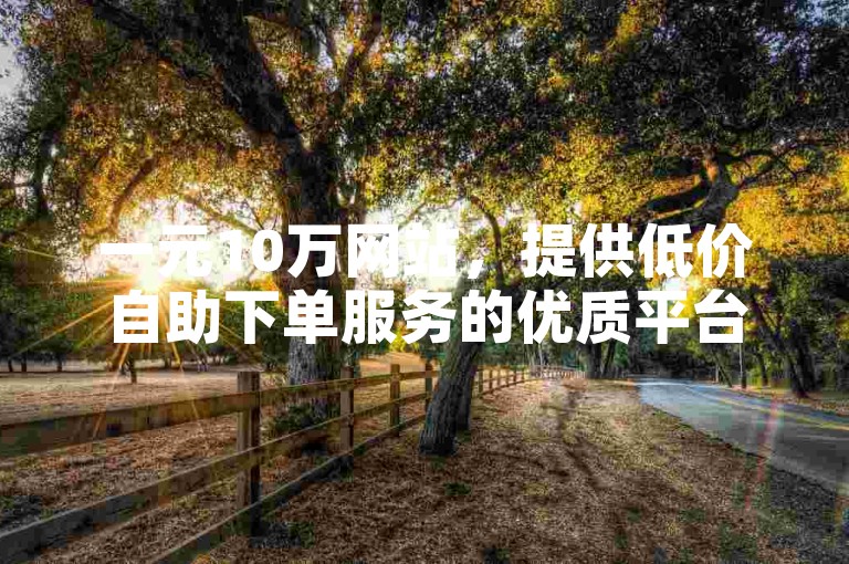 一元10万网站，提供低价自助下单服务的优质平台。