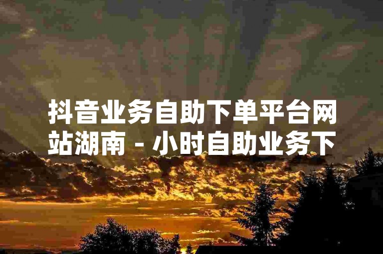 抖音业务自助下单平台网站湖南 - 小时自助业务下单dy微信