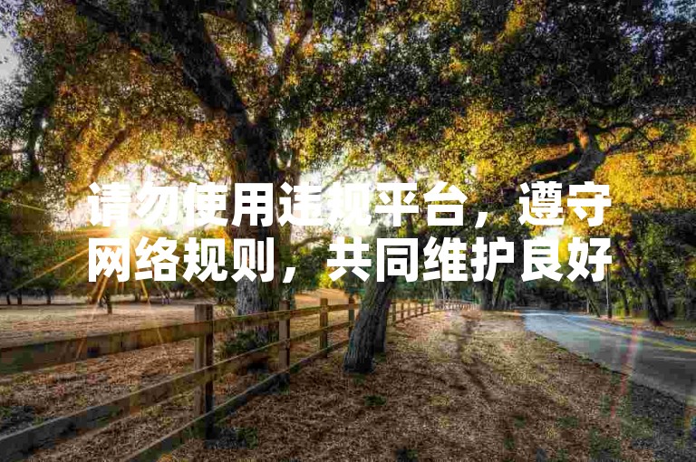 请勿使用违规平台，遵守网络规则，共同维护良好环境。