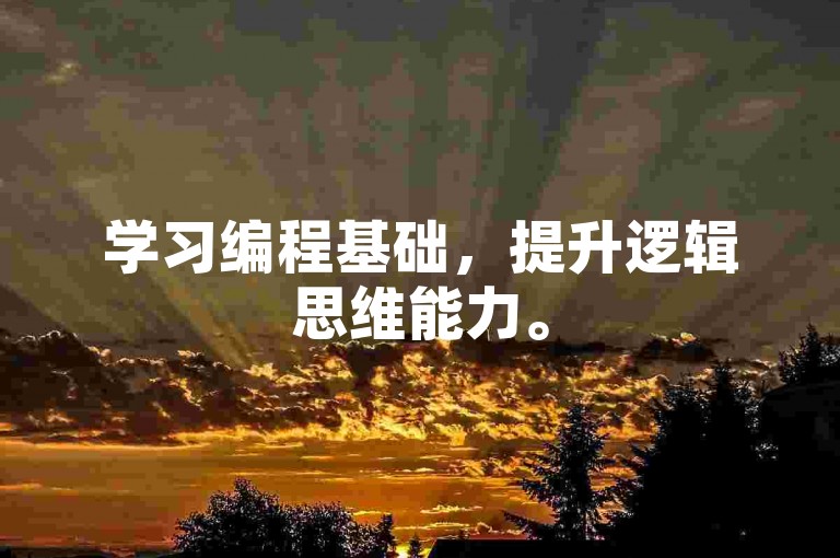 学习编程基础，提升逻辑思维能力。