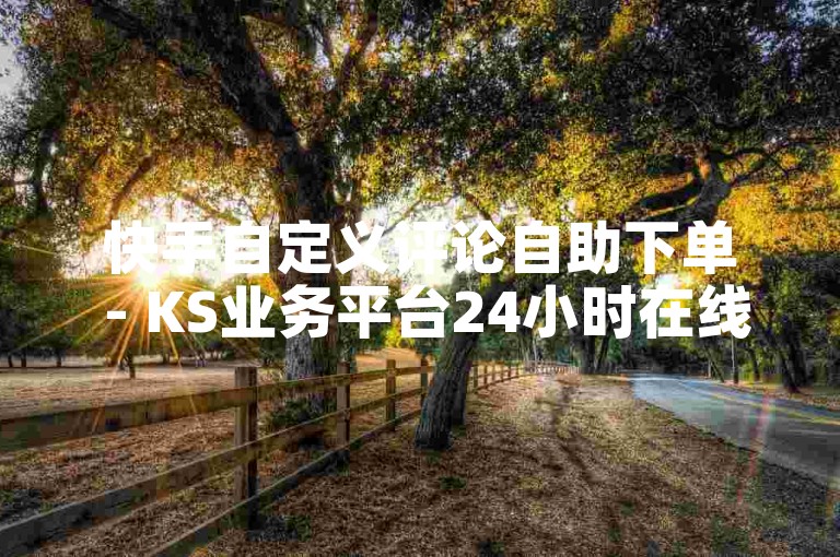 快手自定义评论自助下单 - KS业务平台24小时在线下单网站