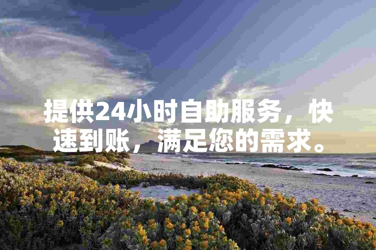 提供24小时自助服务，快速到账，满足您的需求。