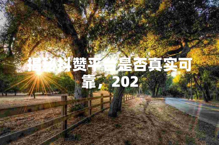揭秘抖赞平台是否真实可靠，2025年必学知识。