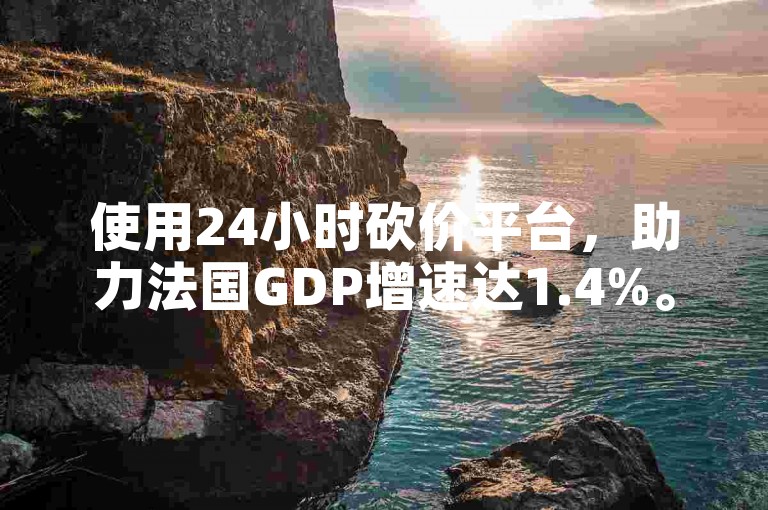 使用24小时砍价平台，助力法国GDP增速达1.4%。