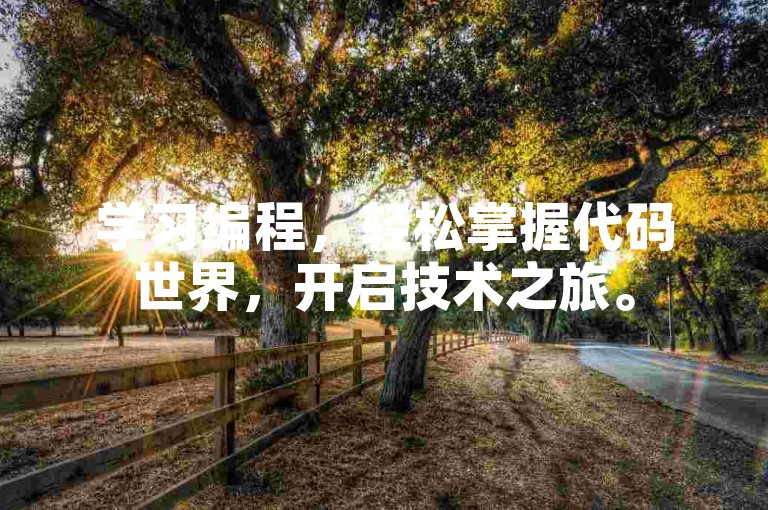 学习编程，轻松掌握代码世界，开启技术之旅。