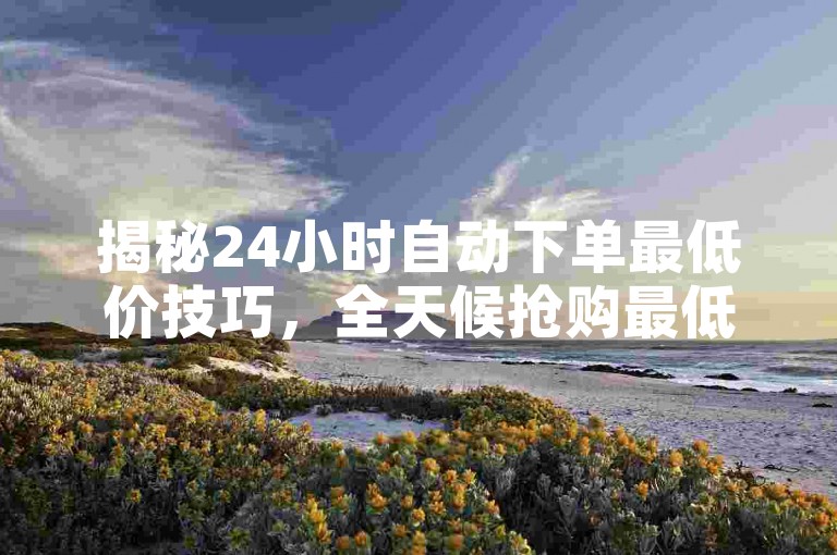 揭秘24小时自动下单最低价技巧，全天候抢购最低价服务！