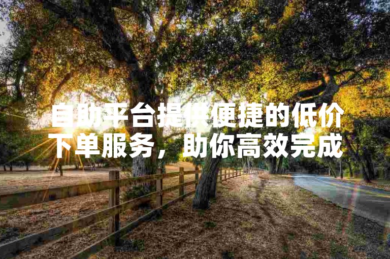 自助平台提供便捷的低价下单服务，助你高效完成业务。