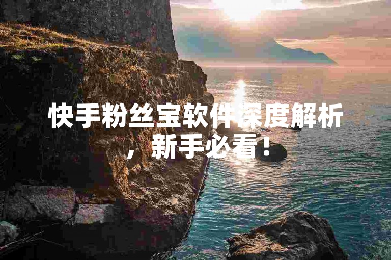 快手粉丝宝软件深度解析，新手必看！