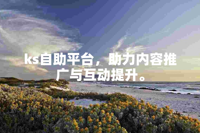 ks自助平台，助力内容推广与互动提升。