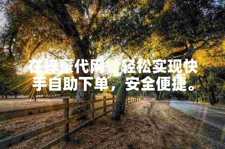 在梓豪代网，轻松实现快手自助下单，安全便捷。