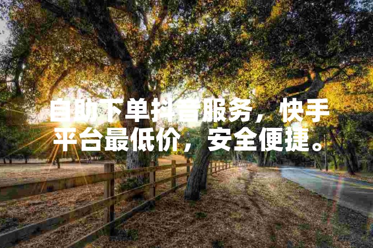 自助下单抖音服务，快手平台最低价，安全便捷。