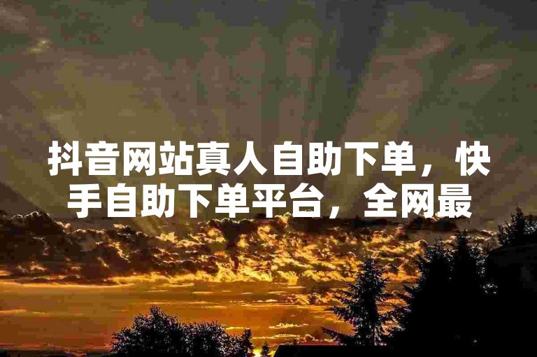 抖音网站真人自助下单，快手自助下单平台，全网最低价。