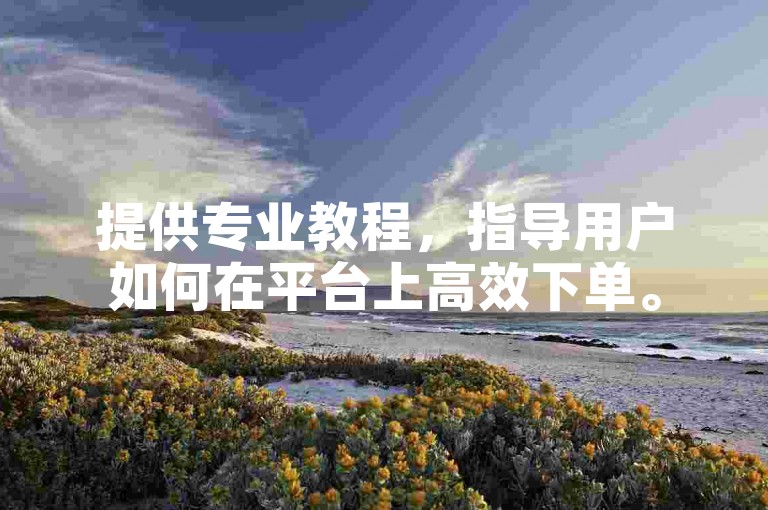提供专业教程，指导用户如何在平台上高效下单。