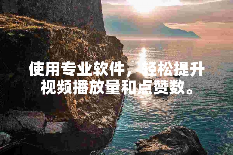 使用专业软件，轻松提升视频播放量和点赞数。