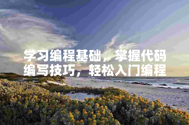 学习编程基础，掌握代码编写技巧，轻松入门编程世界。