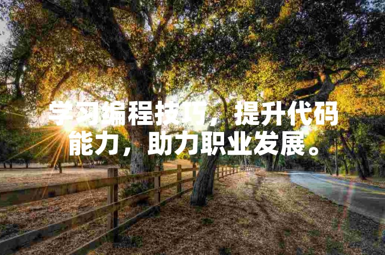 学习编程技巧，提升代码能力，助力职业发展。