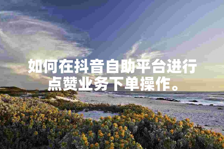 如何在抖音自助平台进行点赞业务下单操作。