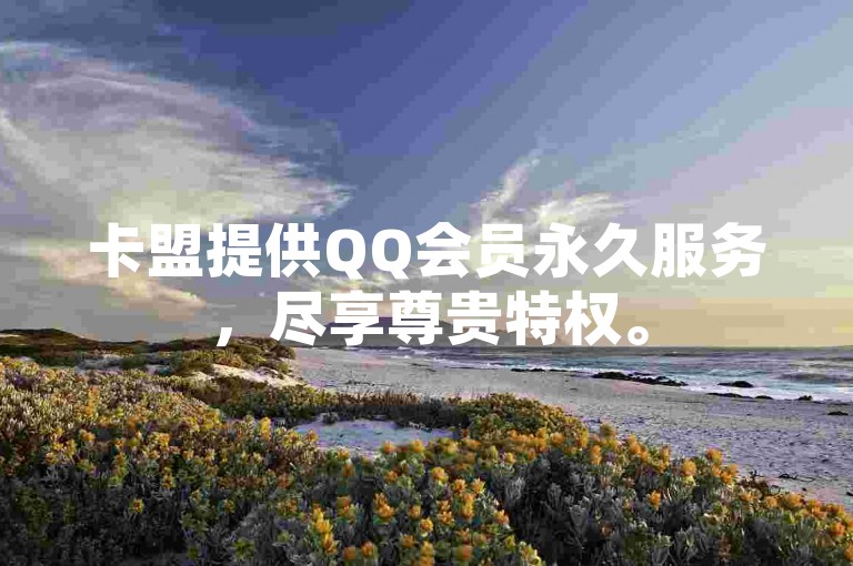 卡盟提供QQ会员永久服务，尽享尊贵特权。