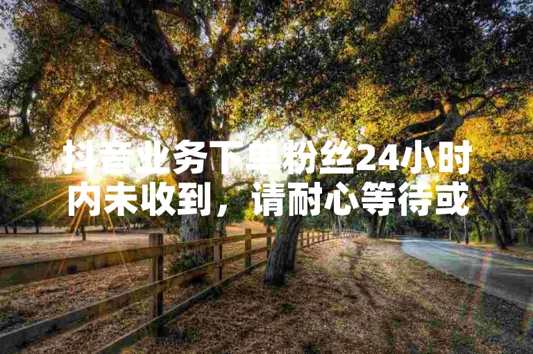 抖音业务下单粉丝24小时内未收到，请耐心等待或咨询客服。