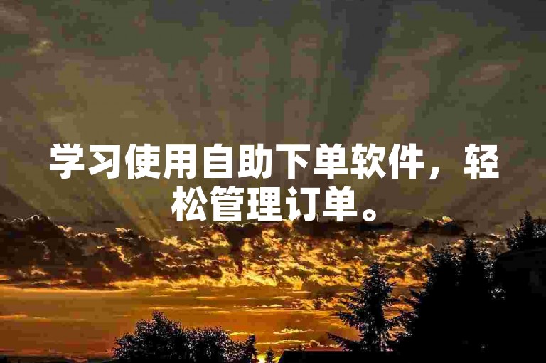 学习使用自助下单软件，轻松管理订单。