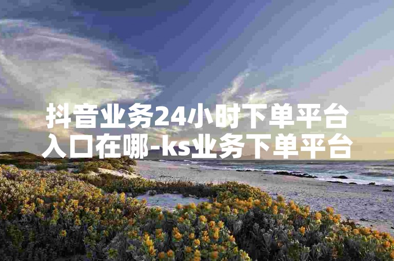 抖音业务24小时下单平台入口在哪-ks业务下单平台