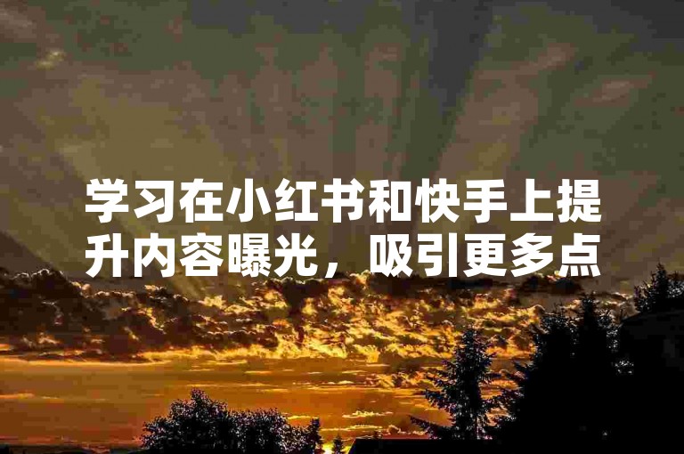 学习在小红书和快手上提升内容曝光，吸引更多点赞。
