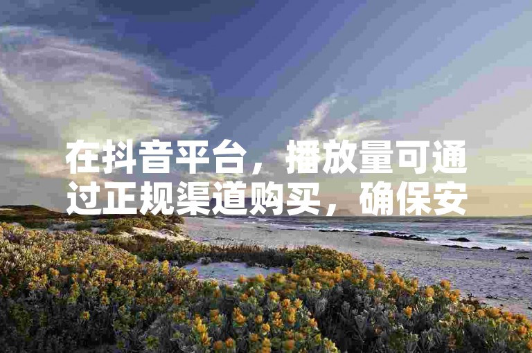 在抖音平台，播放量可通过正规渠道购买，确保安全合规。
