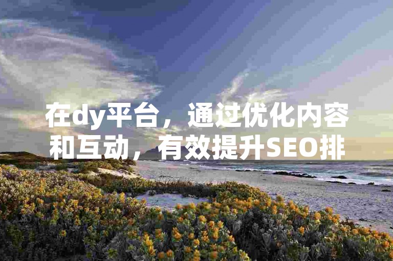 在dy平台，通过优化内容和互动，有效提升SEO排名。