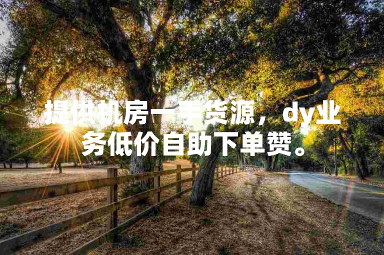 提供机房一手货源，dy业务低价自助下单赞。