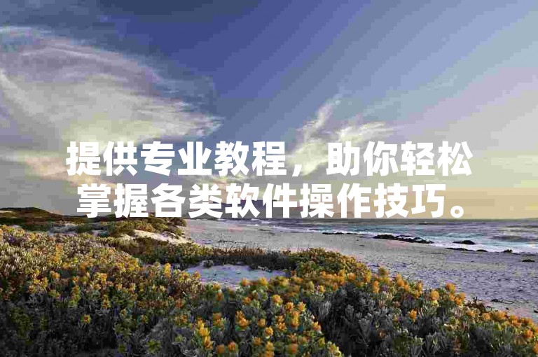 提供专业教程，助你轻松掌握各类软件操作技巧。