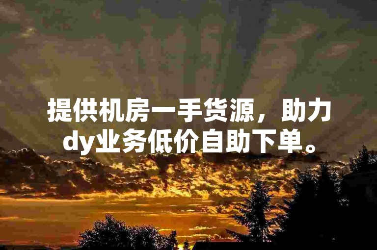 提供机房一手货源，助力dy业务低价自助下单。