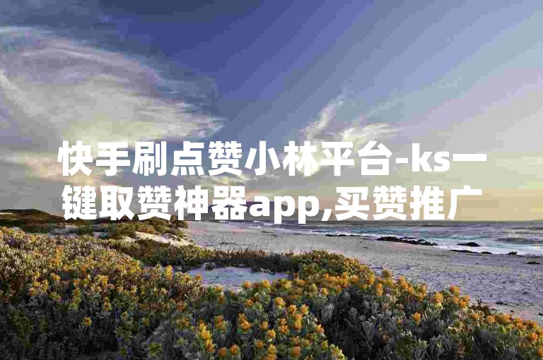 快手刷点赞小林平台-ks一键取赞神器app,买赞推广平台。